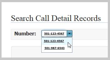 Search Call Details